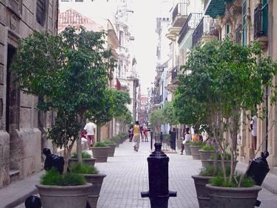 Calle de Referencia Ambiental del Centro Histórico