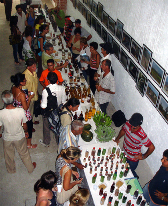 Taller “La Agricultura y el Calentamiento Global”