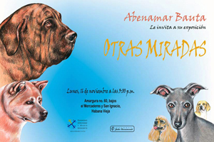 Exposición “Otras Miradas”