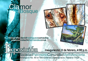 Exposición fotográfica “Clamor del Bosque”