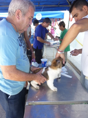 6ta Desparasitación Masiva de Mascotas en el Centro Histórico de La Habana