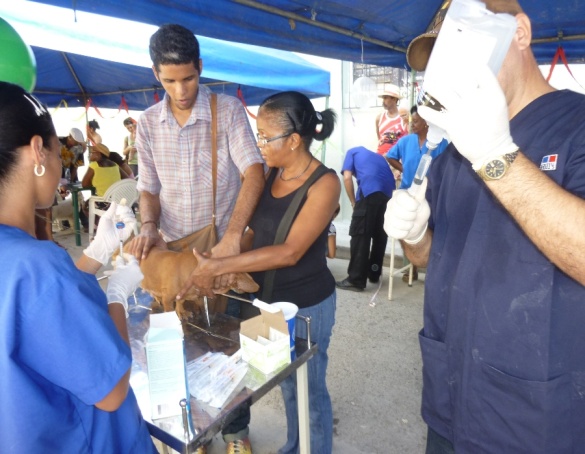 Proyecto Protección de animales y la ciudad.