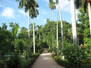 img_0413