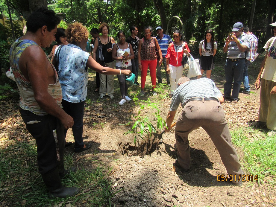 Celebración del Día del Árbol