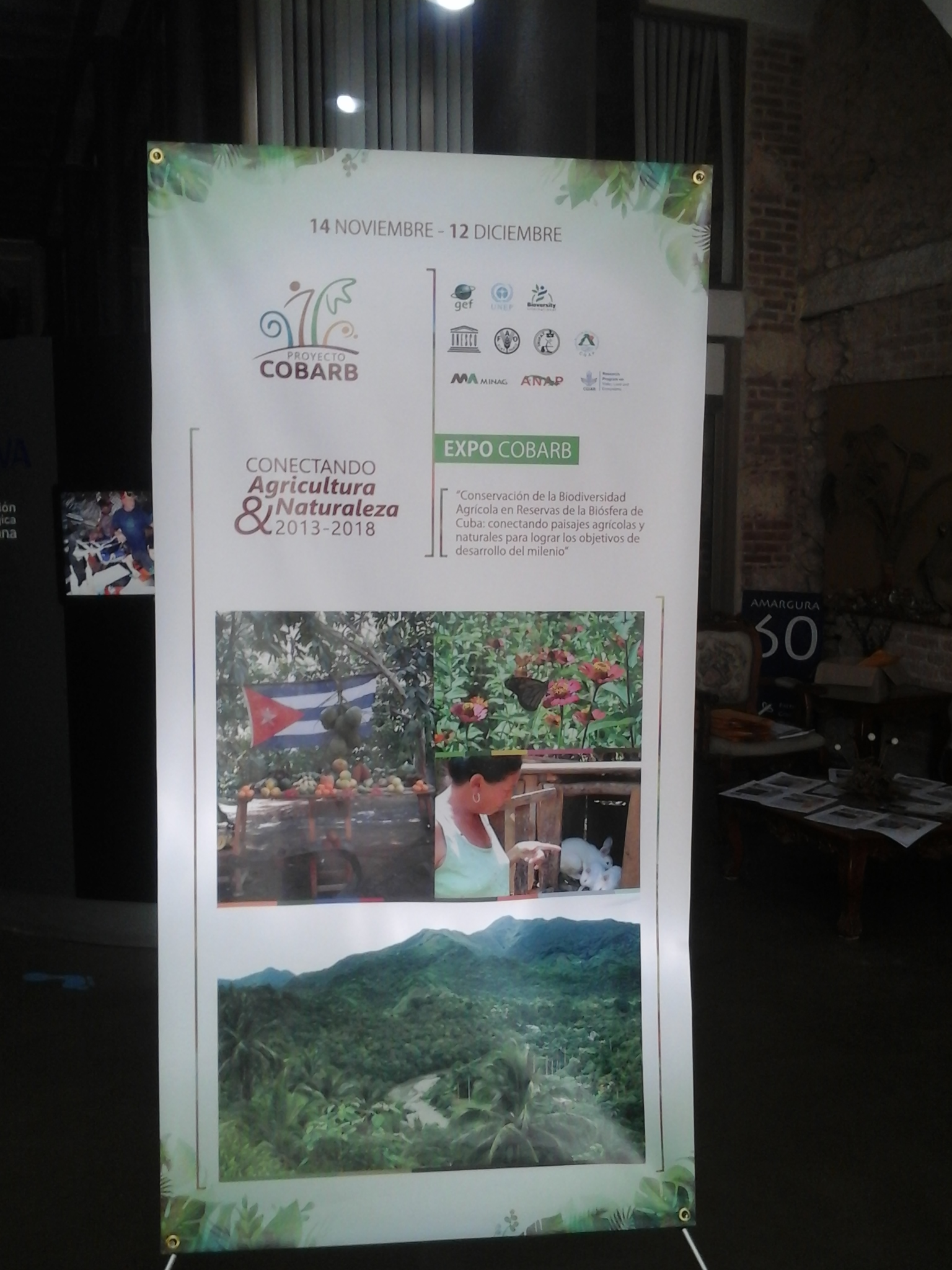 CONSERVACION EN ZONAS DE RESERVA DE LA BIOSFERA, EN LA ZONA DEL ROSARIO Y CUCHILLAS DEL TOA