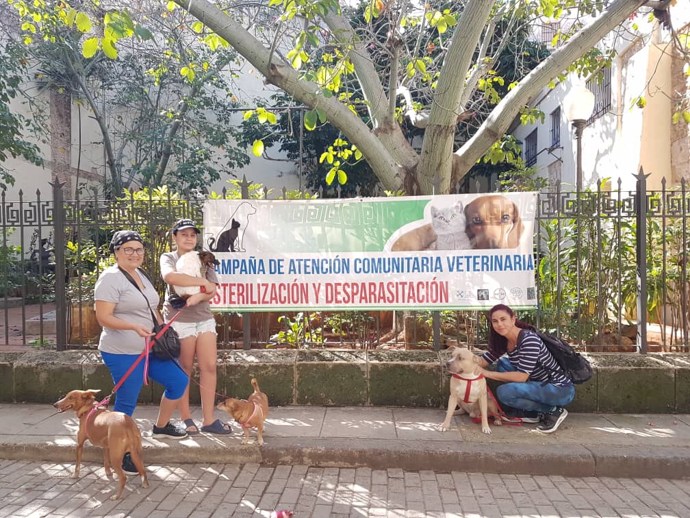 Sociedad Civil Patrimonio, Comunidad y Medio Ambiente: desparasitación masiva de mascotas